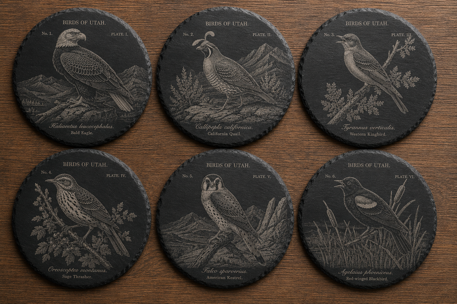 Birds of Utah Coaster Set | Audubon-Inspired Slate